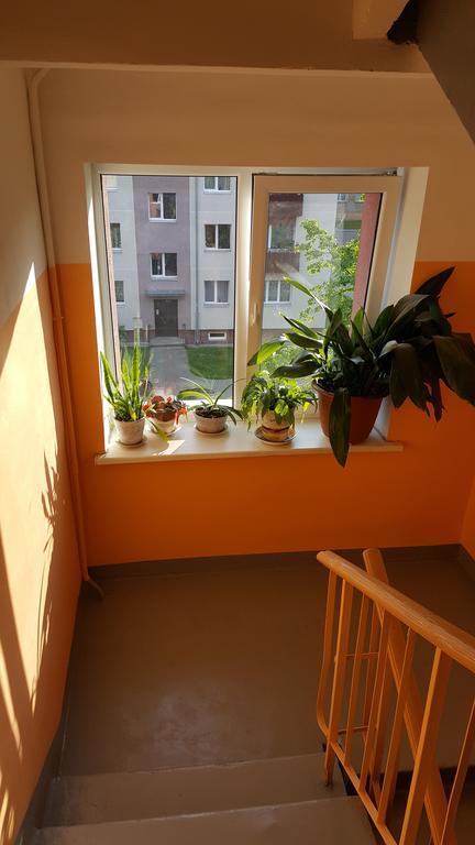 L.E.C. Travel Apartments 文茨皮尔斯 外观 照片